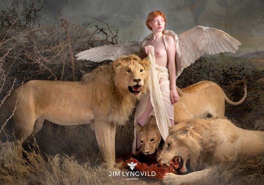 Jim Lyngvild puslespil 1000 brikker