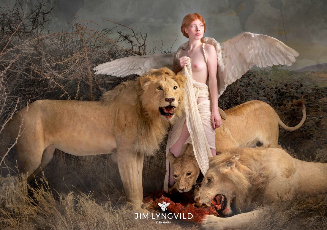 Jim Lyngvild